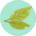 Hormonal-Metabolic-Support-category