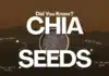 chia seeds weight loss benefits — expand fiber protein omega-3