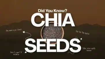 chia seeds weight loss benefits — expand fiber protein omega-3